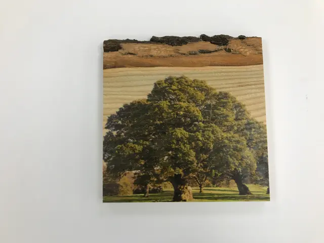 Wood print sign